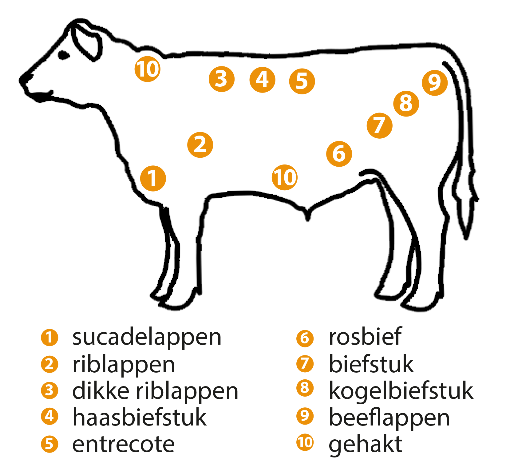 Delen van de koe vleespakket